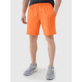 Men's quick-drying training shorts 4F 4FWSS25TFSHM0911-70S *Kategoria tymczasowa Your Sports Performance