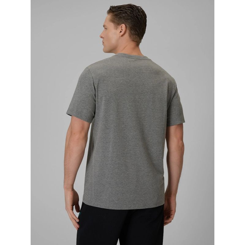 Men's regular plain T-shirt 4F 4FRSS26TTSHM3990-24M 4f