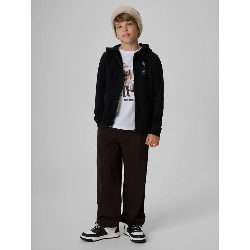 Boy's regular hooded sweatshirt 4F 4FJKAW26TSWSM3153-20S