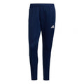 Adidas Tiro 21 Training M GE5427 pants Clothing/Training Adidas