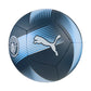 Puma Manchester City Essentials 84774 04 Football Accessories/Balls/Football Puma
