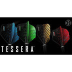 Harrows TESSERA Feathers In preparation Your Sports Performance