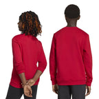 adidas Entrada 26 Sweat Top red JZ6556 To be categorized Your Sports Performance