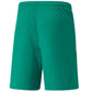 Puma teamLiga M 704924 05 shorts Clothing/Football Puma