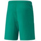 Puma teamLiga M 704924 05 shorts Clothing/Football Puma
