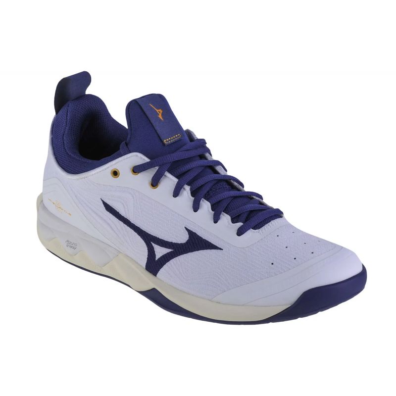 Mizuno Wave Luminous 2 M V1GA212043 volleyball shoes Footwear/Volleyball/Men Mizuno