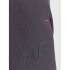 Men's quick-drying training pants 4F 4FRSS26TFTRM1411-23S