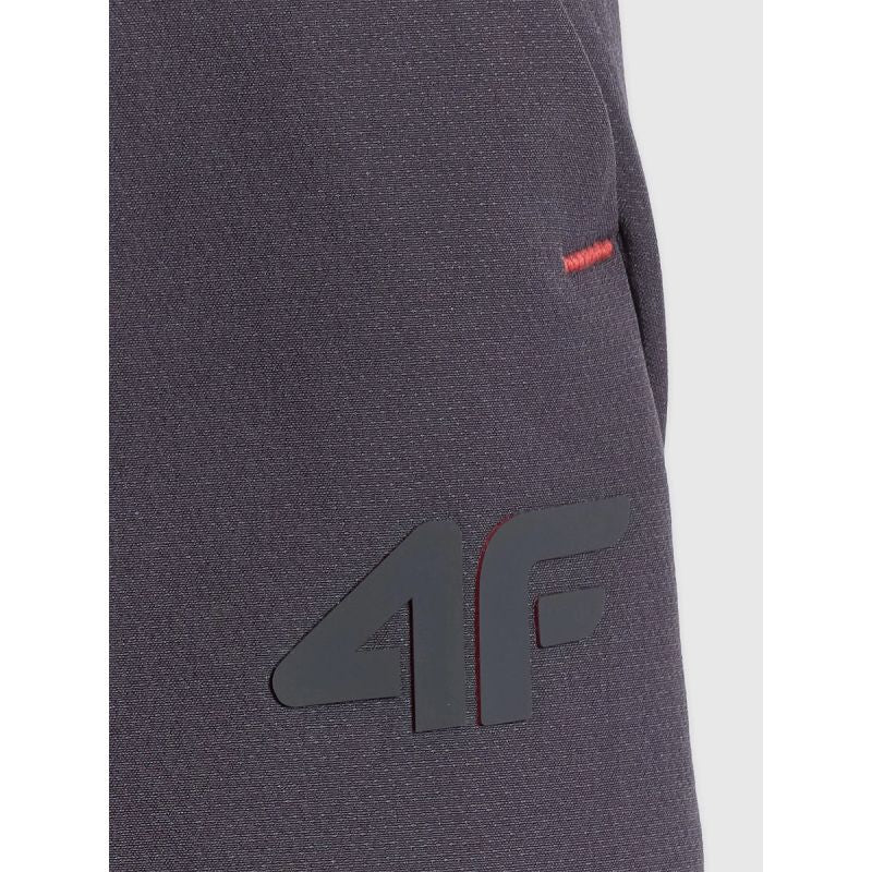 Men's quick-drying training pants 4F 4FRSS26TFTRM1411-23S