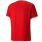 Puma teamLIGA Jersey M 704917 01 Clothing/Football Puma