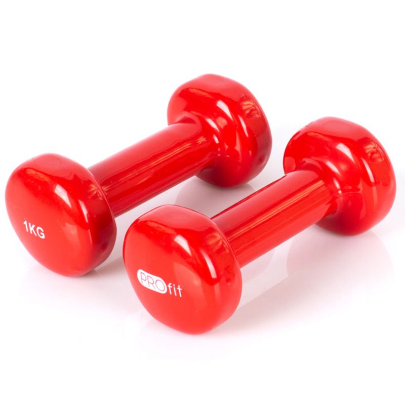 Vinyl dumbbell PROfit 0.5kg DK 4102