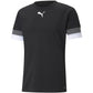 T-shirt Puma teamRISE Jersey M 704932 03 Clothing/Training Puma