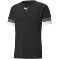 T-shirt Puma teamRISE Jersey M 704932 03 Clothing/Training Puma