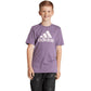 Adidas Essentials Big Logo Cotton Tee Jr IJ7061 Clothing/Training Adidas