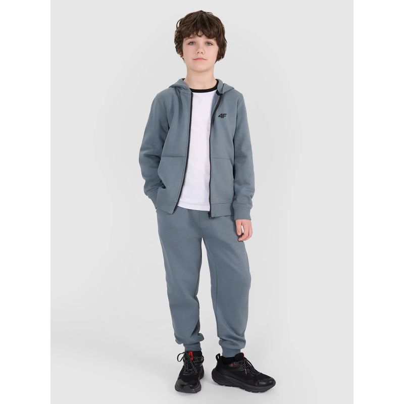Boy's zip-up sweatshirt with hood 4F 4FJWSS25TSWSM1714-46S *Kategoria tymczasowa Your Sports Performance