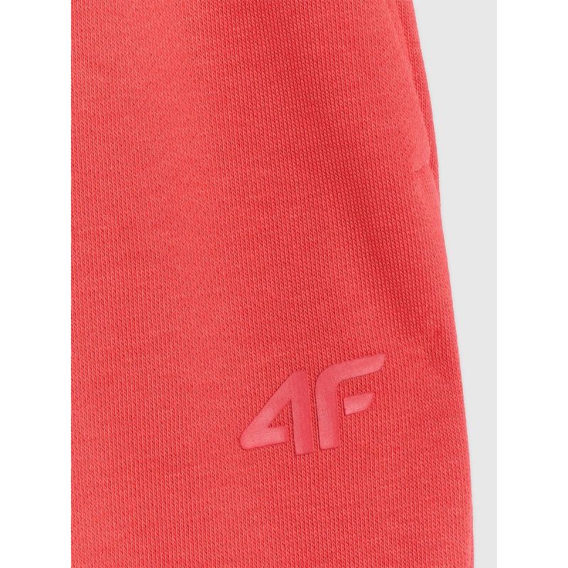 Women's jogger sweatpants 4F 4FWMM00TTROF1138-62S 4f