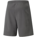 Puma teamRise Short M 704942 13 Clothing/Training Puma