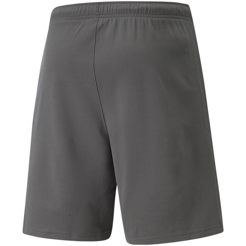 Puma teamRise Short M 704942 13 Clothing/Training Puma
