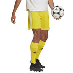 Adidas Squadra 21 Short M GN5772 Clothing/Football Adidas