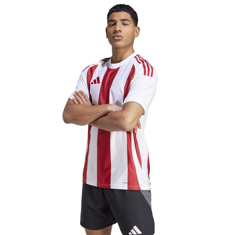 Adidas Striped 24 JSY M T-shirt IW2142 Clothing/Football Adidas