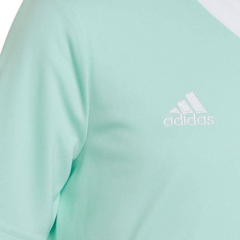 Tee adidas Entrada 22 Jersey Jr HC5078 Clothing/Training Adidas