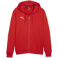 Puma Team Goal Casuals Hooded M 658595 01 sweatshirt Clothing/Football Puma