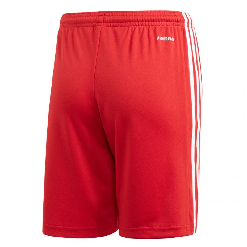 Adidas Squadra 21 Short Youth Jr GN5761 Clothing/Football Adidas