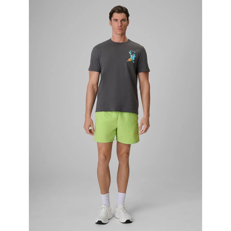 Men's regular printed T-shirt 4F 4FRSS26TTSHM4301-22S
