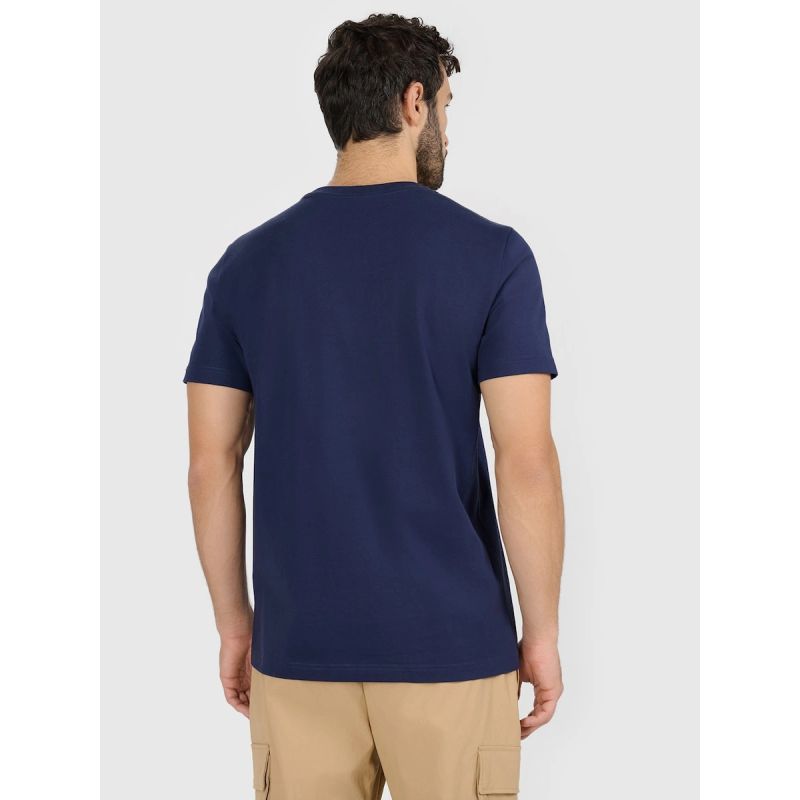 Men's regular printed T-shirt 4F 4FRAW25TTSHM3378-31S