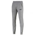 Pants Puma ESS Logo FL CL M 851753 03 gray Clothing/Lifestyle/Trousers, shorts Puma