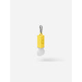 BOOKMAN Lightstick Dinosaur Pendant Import z PMSport Your Sports Performance