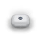 Motorola Moto buds Blueberry headphones In preparation Your Sports Performance