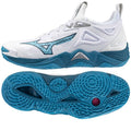 Mizuno Wave Momentum 3 M V1GA231221 volleyball shoes Footwear/Volleyball/Men Mizuno