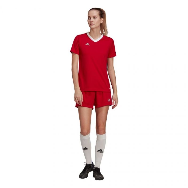 T-shirt adidas Entrada 22 Jsy W H57571 Clothing/Training Adidas