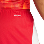 Adidas Tiro 24 M shorts IR9379 Clothing/Football Adidas