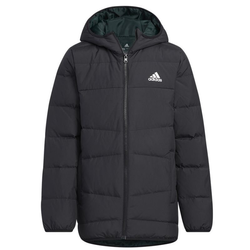 Jacket adidas Frosty Jacket Jr. HM5205 Clothing/Outdoor Adidas