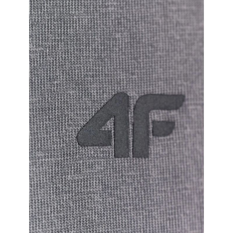 Women's loose T-shirt with print 4F 4FKAW26TTSHF4506-26S