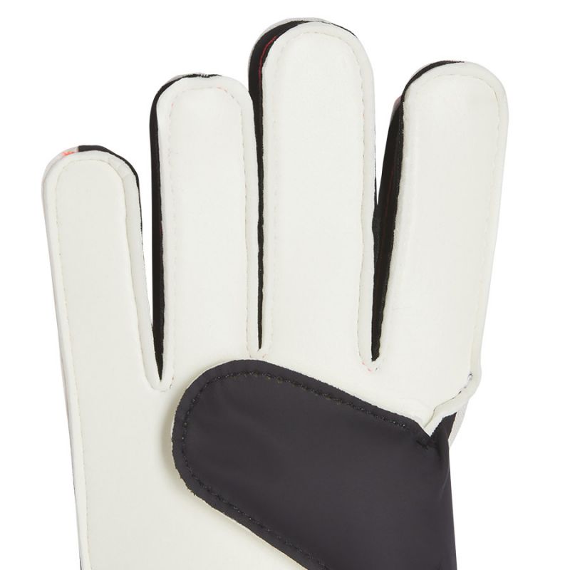 adidas Predator GL TRN Jr IX3873 goalkeeper gloves Accessories/Gloves Adidas