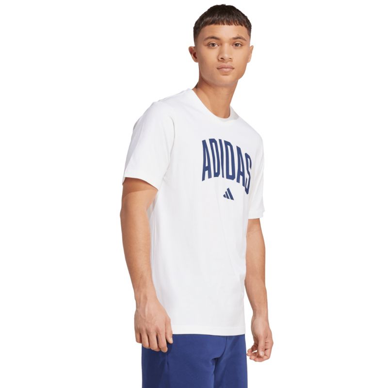 adidas Collegiate Lineage Graphic T-shirt M JM6416 Clothing/Lifestyle/T-shirts Adidas