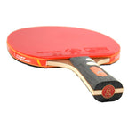 Giant Dragon 7★ N8071 Table Tennis Racket Accessories/Rackets and accessories Your Sports Performance