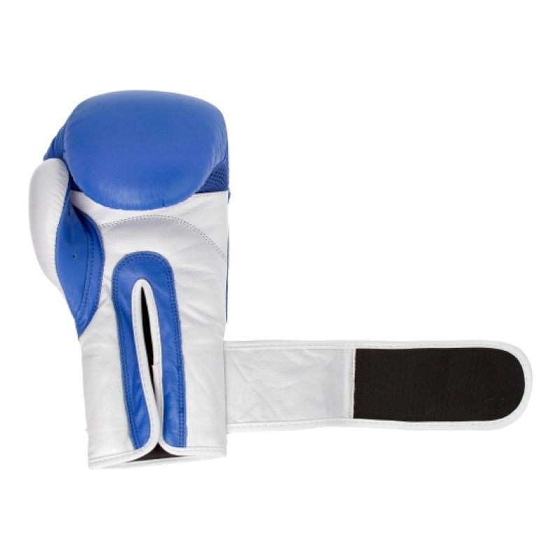Leather boxing gloves MASTERS RBT-TRW 01210-02 Accessories/Gloves Your Sports Performance