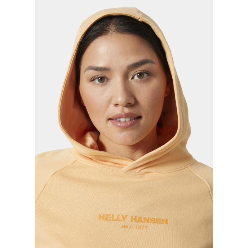 Helly Hansen sweatshirt with hood W Core Hoodie W 54033 316 Clothing/Outdoor/Helly Hansen Your Sports Performance