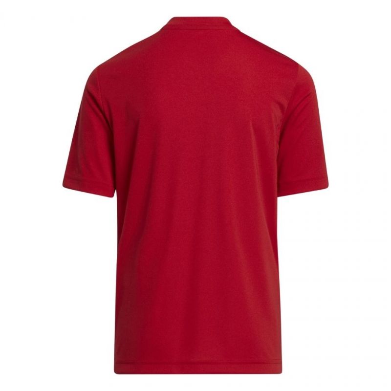 Adidas Entrada 22 Graphic Jersey Jr.H58983 Clothing/Football Adidas