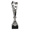 Triumph Cup In preparation Your Sports Performance
