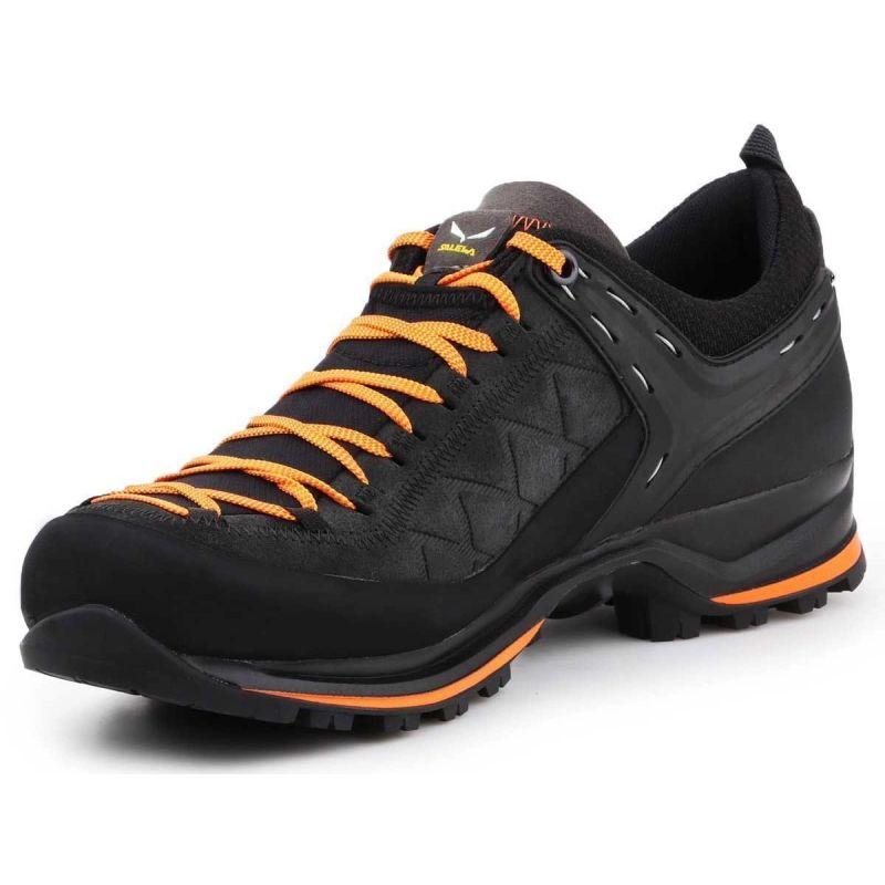 Salewa MS MTN Trainer 2 GTX M shoes 61356-0933 Footwear/Outdoor/Salewa Your Sports Performance
