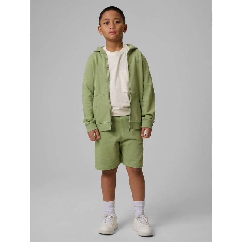 Boy's regular hooded sweatshirt 4F 4FJRSS26TSWSM2749-47S 4f