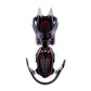 Black Diamond Contact - Strap Basket Crampons Import z Action/Wspinaczka/Raki Your Sports Performance