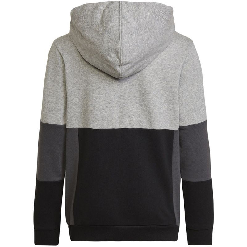 Adidas Colourblock Hoodie Jr HN8563 sweatshirt Clothing/Lifestyle Adidas