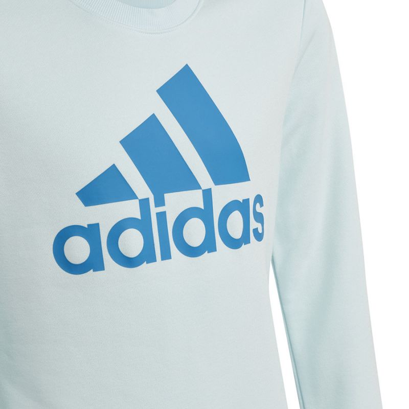 Sweatshirt adidas Big Logo Swt Jr HM8707 Clothing/Training Adidas