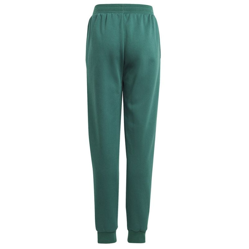 Pants adidas Bluv Q3 Pant Jr. IA1553 Clothing/Lifestyle/Trousers, shorts Adidas