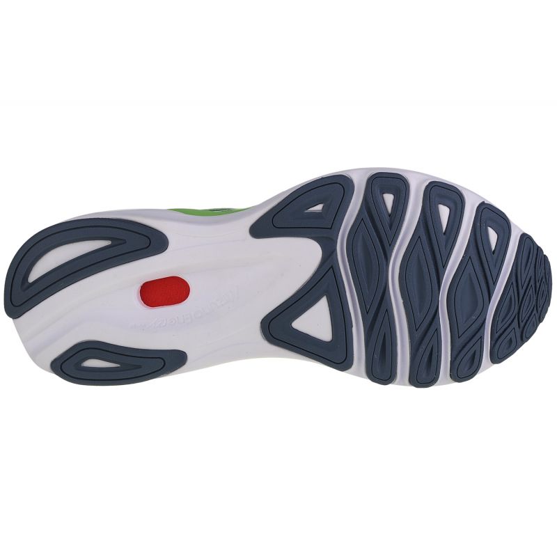 Running shoes Mizuno Wave Skyrise 4 M J1GC230904 Footwear/Running/Men Mizuno